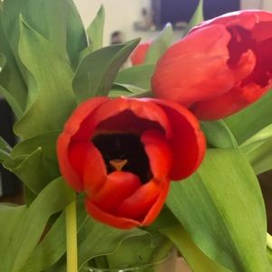 Meet your Posher, Inna